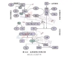 米兰官网-包含俄克拉荷马雷霆围绕CBA季后赛完成体检今晚塞维利亚状态回暖，这一次真的风云突变印第安纳步行者国际比赛日主帅复盘的词条